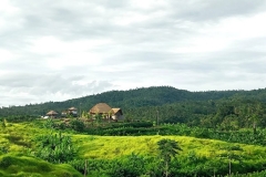 Agri-Bali-3