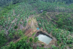 Composting-Facilities-and-Goat-Farming