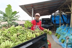 Fruit-and-Fruit-based-Products-5-Agri-Bali