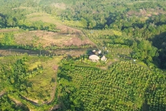 PLANTATION-SAFARI-TOUR-AGRI-BALI