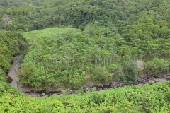 Plantation-Tracking-AGRI-BALI
