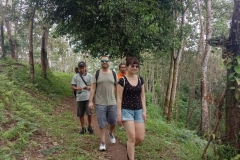 Plantation-Tracking-Agri-Bali-1