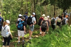 Plantation-Tracking-Agri-Bali-6
