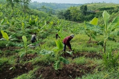 urban-farming-agri-bali-2-e1737330759608
