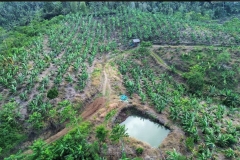 urban-farming-agri-bali-4