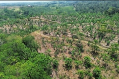 urban-farming-agri-bali-5