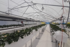urban-farming-agri-bali