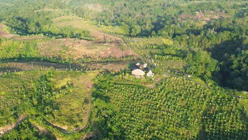 European Investors Invited to Develop Domestic Agriculture