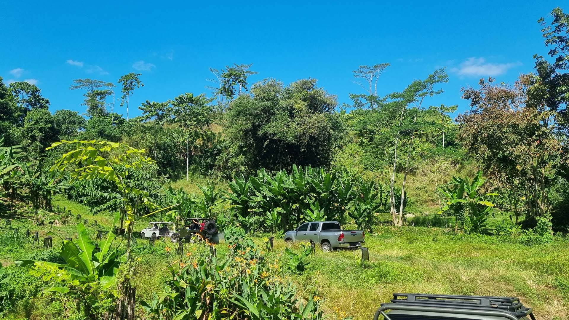 Plantation Safari Tour - Agri Bali -1