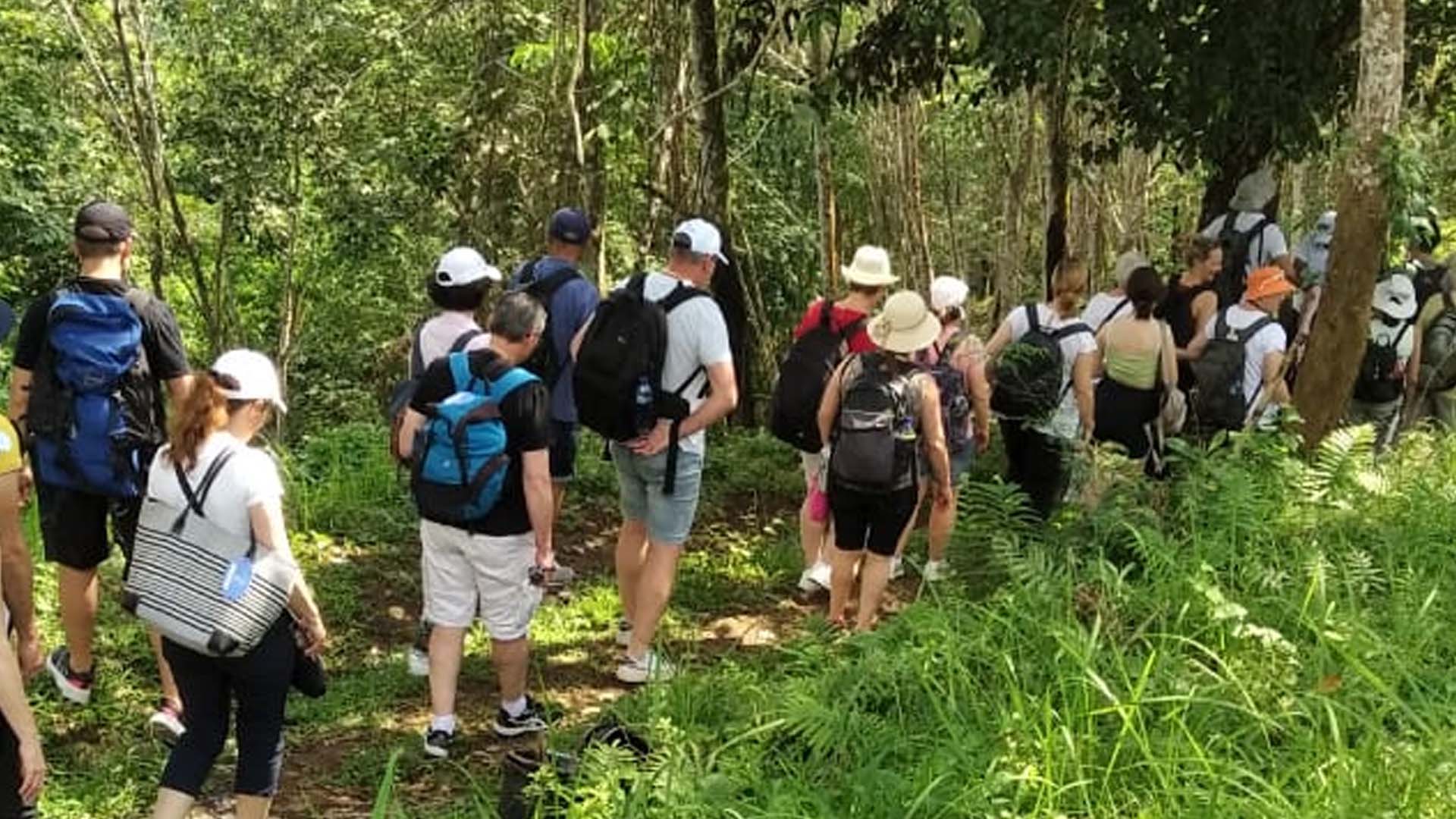 Plantation Tracking - Agri Bali -6
